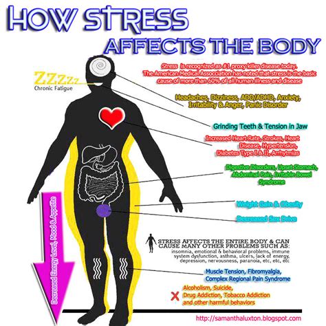 how stress affects our body samantha luxton s notes