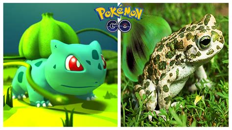 20 Pokemon Go Characters In Real Life Real Pokemon