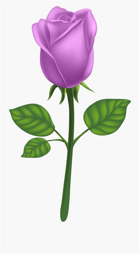 Long Stem Roses Clipart 10 Free Cliparts Download Images