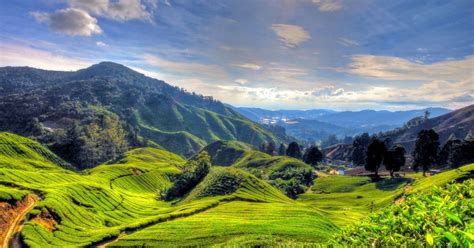 To get from cameron highlands to kuala lumpur prepare to shell out about vnd 232,579 for your ticket. From Kuala Lumpur: Cameron Highlands Private Full Day Tour ...