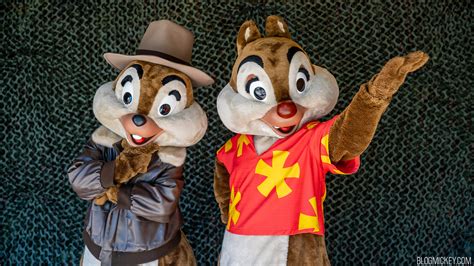New Chip And Dale Rescue Rangers Meet And Greet Debuts At Disneys