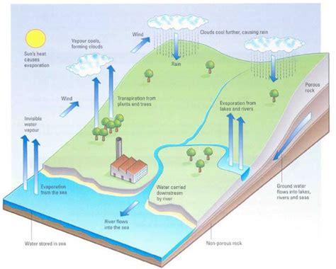 Water Cycle There Are Three Main Processes Evaporation Rain And