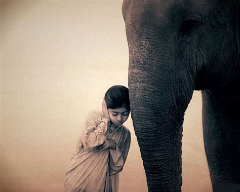 Ashes And Snow Gregory Colbert Elephant Photographs Of People