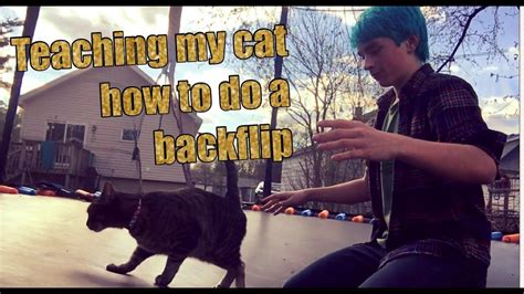Teaching My Cat How To Do A Backflip Youtube