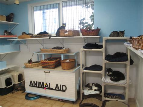 Animal Aid Inc A Non Profit South Florida Pet Adoption