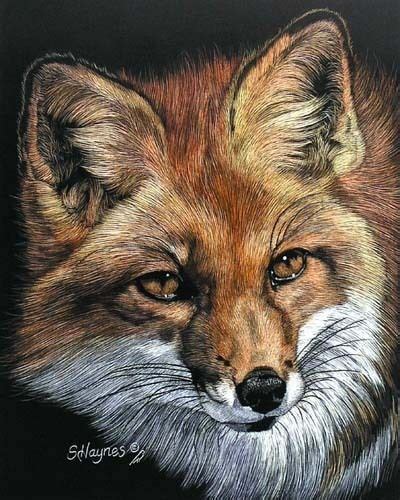 Pin By Mollie Perrot On Foxes Fox Artwork Animal Paintings Fox Painting