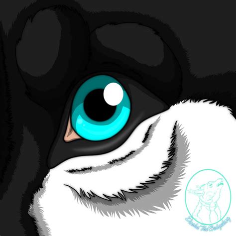 Wolf Eye Icon For Blackwolf Hikari By Shizukatw On Deviantart