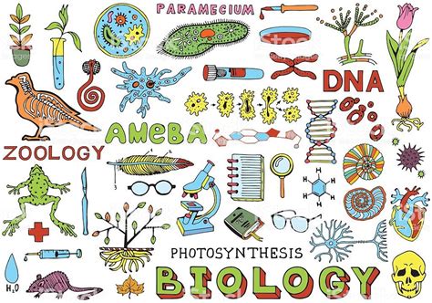 10 Dibujos De Biologia