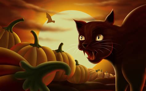 Halloween Cat Wallpapers 61 Background Pictures