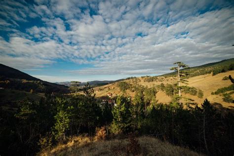 Zlatibor Nature Park Zlatibor