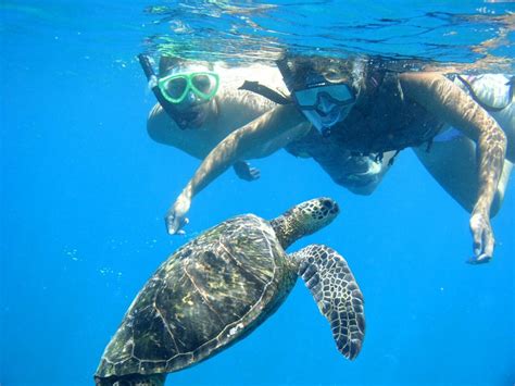 Oahu Snorkeling The 5 Best Spots You Should Never Miss Touristsecrets