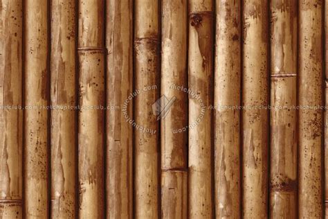Bamboo Texture Seamless 12273 Bamboo Texture Texture Bamboo