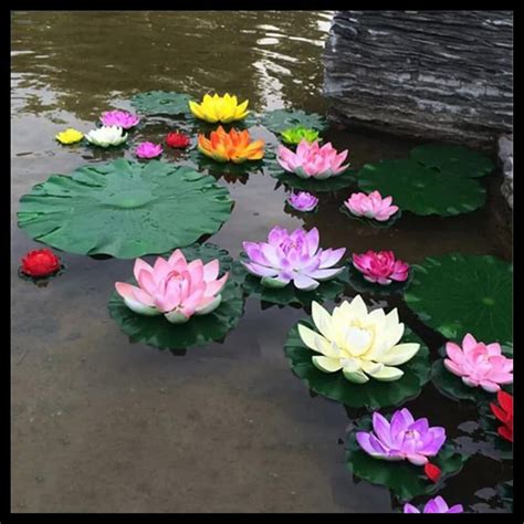 17+ Gambar Bunga Teratai Dan Keterangannya - Galeri Bunga HD