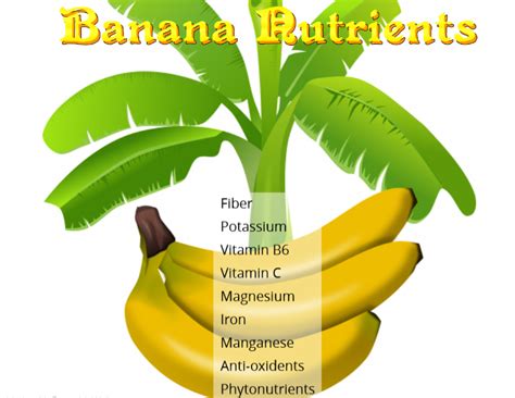 Banana Nutrients | Banana nutrition, Banana nutrition facts, Banana benefits