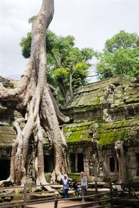 Main ke jogja belum lengkap kalau belum mencoba kuliner jogja. Kuil Angkor Wat Terletak Di Kaki Gunung - Wulan