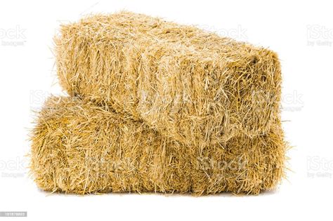 Two Stacked Bales Of Hay On White Background Stock Photo And More