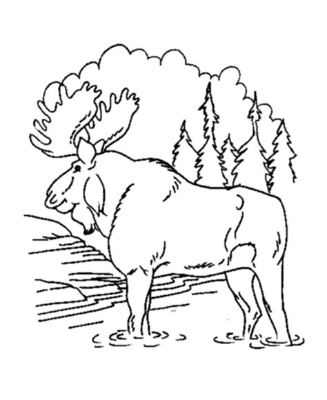 Moose Coloring Pages For Kids Coloring Home