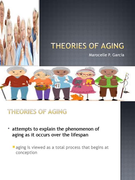 Theories Of Agingppt Cel Ageing Psychological Concepts