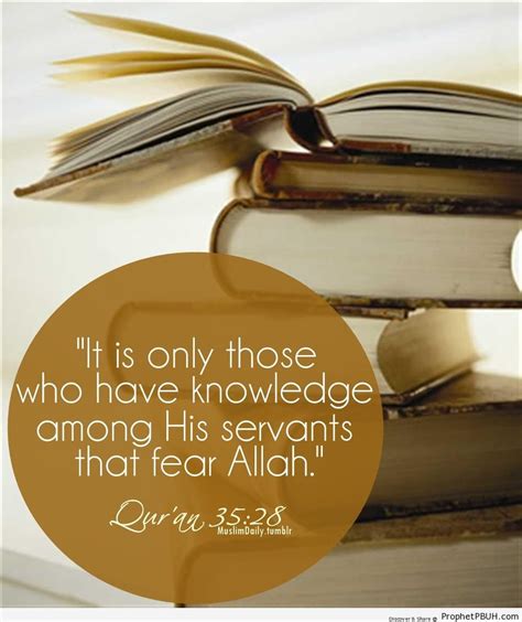 Quranic Wisdom Quotes Pin By Aljumuah Magazine On Islamic Wisdom