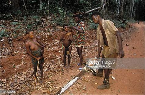 Aka Pygmy People Photos And Premium High Res Pictures Getty Images