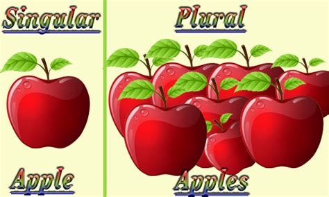 Is 'all' singular or plural? Singular and Plural Noun: Singular and Plural Noun