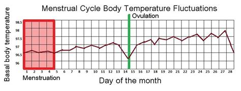 The basal temperature during pregnancy in the early stages really varies greatly. Cut The Junk: Raise Basal Body Temperature Naturally with ...