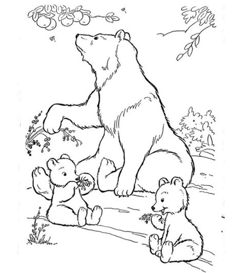 Top 10 Free Printable Polar Bear Coloring Pages Online