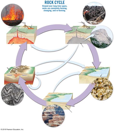 Solved Using The Rock Cycle Diagram Below Fill In The Purple And