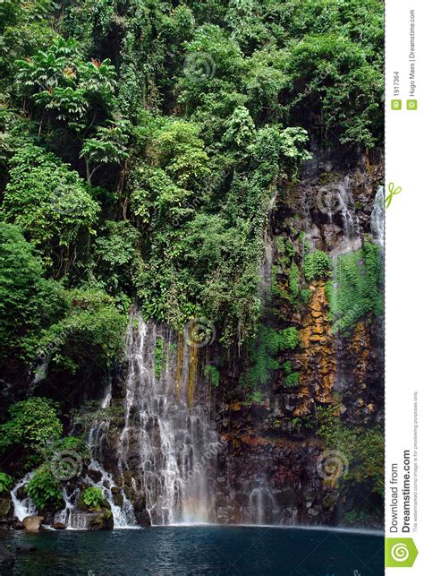 Tropical Jungle And Waterfall Stock Photo Image Of Leisure Scenery