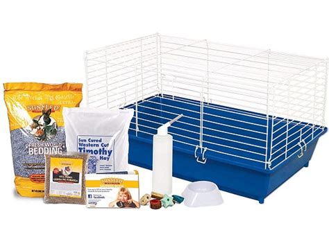 Best 6 Guinea Pig Starter Kits And Packs For Beginners Reviewed