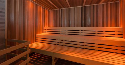 dalesauna commercial sauna steam rooms