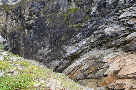 Massive Unexplored ‘cave Of National Significance Discovered In Bc