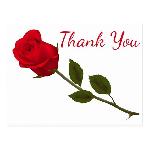 Floral Thank You Red Rose Flower Postcard In 2021 Red