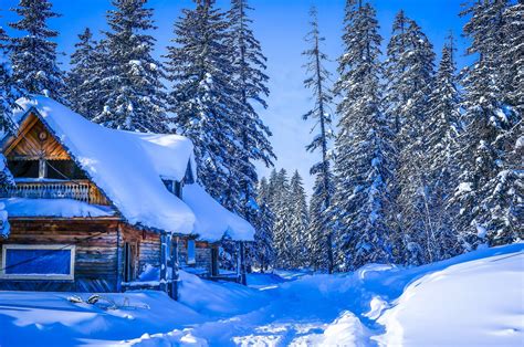 Cabin In Winter Forest Hd Wallpaper Background Image 2048x1361