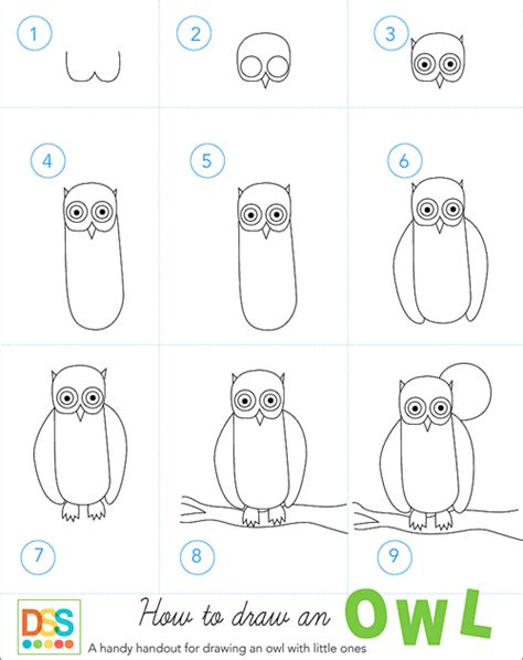 Drawing Step Drawing Drawing Snowy Owl Snowy Owl Is Native To The