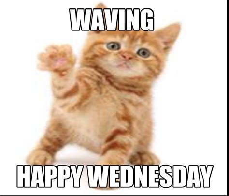 Top 26 Work Memes Wednesday Funny Wednesday Memes Wednesday Memes