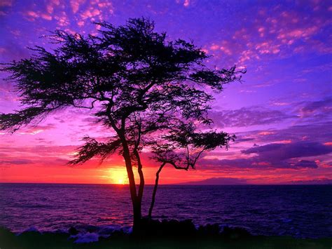 Purple Sunset Per Mare