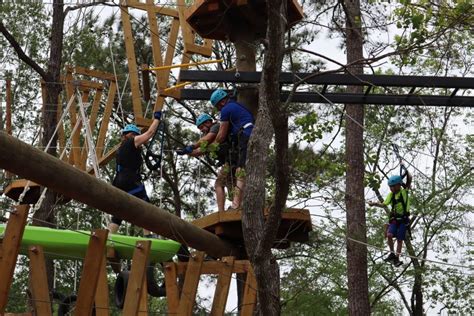 Texas Treeventures Is Here In The Woodlands