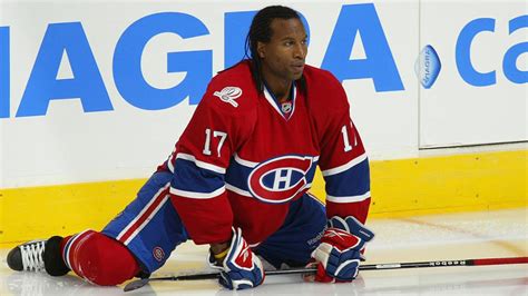 Georges Laraque Helps Thwart Attempted Kidnapping
