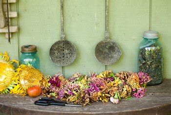 Maybe you would like to learn more about one of these? What Is the Best Way to Preserve Flowers & Why? | Home ...