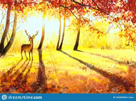 Watercolor Painting Deer In Autumn Forest Stock Illustration