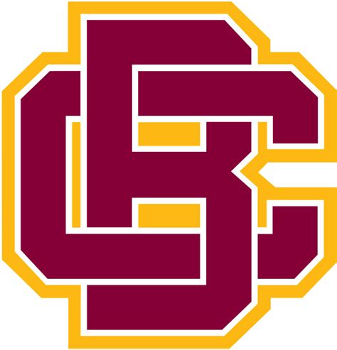 Bethune Cookman Wildcats Color Codes Hex Rgb And Cmyk Team Color Codes