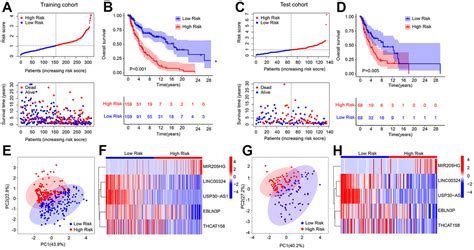 The Development And Experimental Validation Of Hypoxia Related Long Noncoding Rnas Prognostic