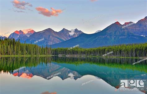 Herbert Lake Evening Mood After Sunset Canada Alberta Banff