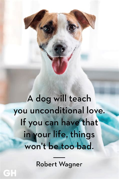 Quotes On Dog Love Wall Leaflets