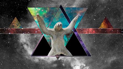 71 Sloth Wallpapers On Wallpaperplay
