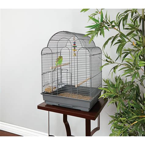 Bird Cages For Parakeets Ubicaciondepersonascdmxgobmx