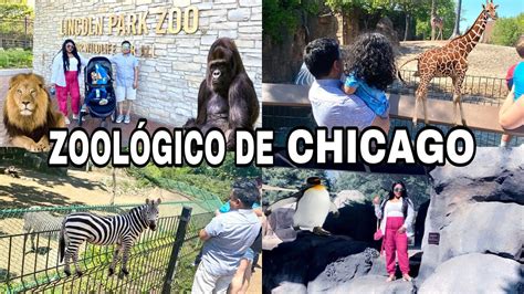 Visitando El Zoológico De Chicago🦍🦒🦓🐫🦏🦘🦁🦌lo Disfruto Mucho🧒🏻cena