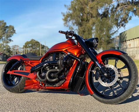 Harley Davidson V Rod Custom By Dgd Custom Sydney