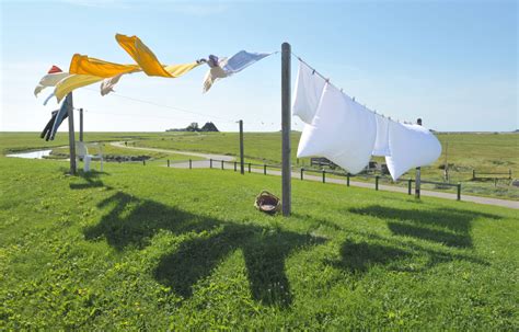 Clotheslines And Green Initiatives Right To Dry Laws And States Hubpages